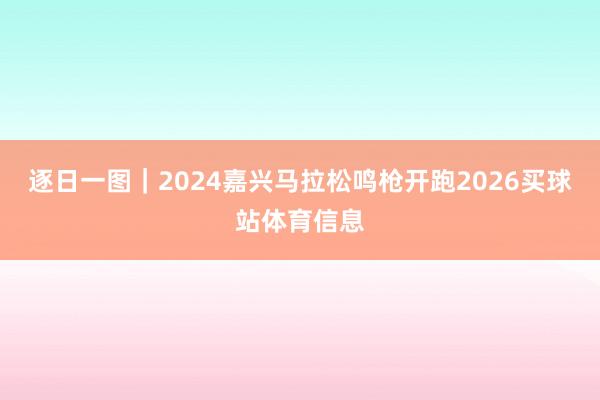 逐日一图｜2024嘉兴马拉松鸣枪开跑2026买球站体育信息