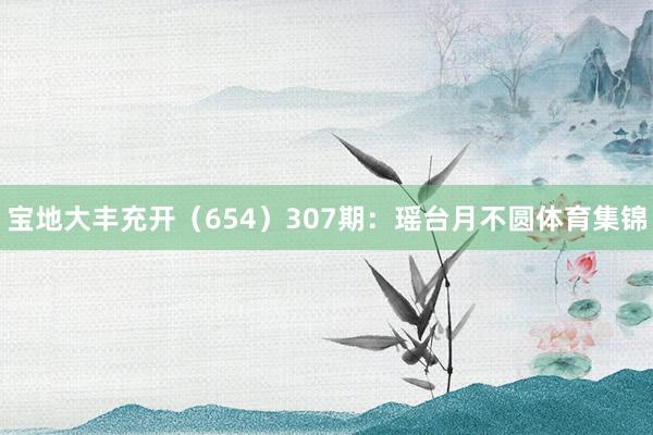 宝地大丰充开（654）　　307期：瑶台月不圆体育集锦