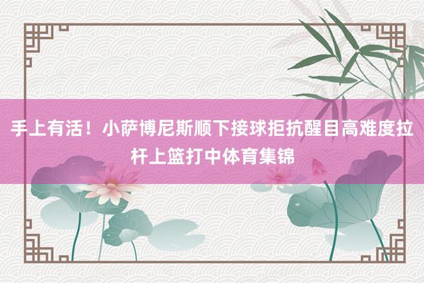 手上有活！小萨博尼斯顺下接球拒抗醒目高难度拉杆上篮打中体育集锦