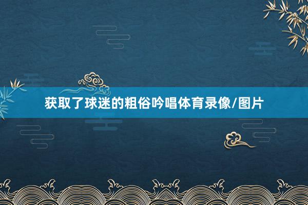 获取了球迷的粗俗吟唱体育录像/图片