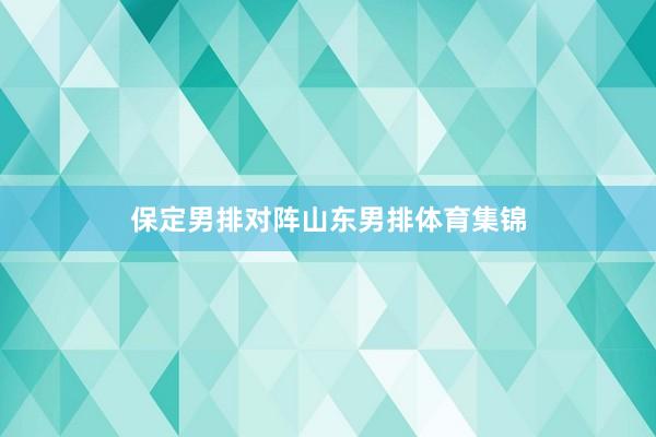 保定男排对阵山东男排体育集锦