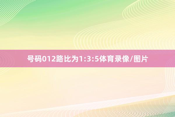 号码012路比为1:3:5体育录像/图片