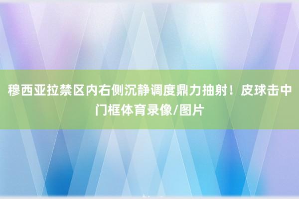 穆西亚拉禁区内右侧沉静调度鼎力抽射！皮球击中门框体育录像/图片