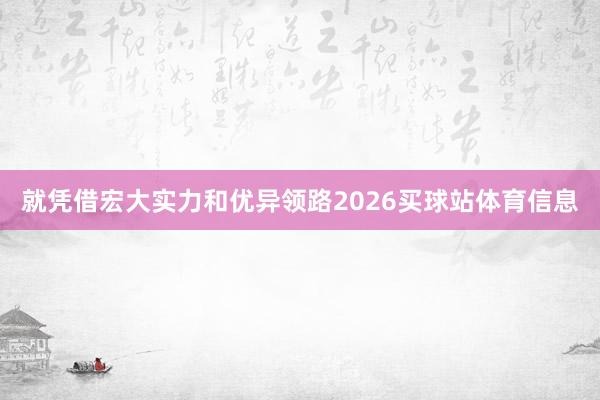 就凭借宏大实力和优异领路2026买球站体育信息