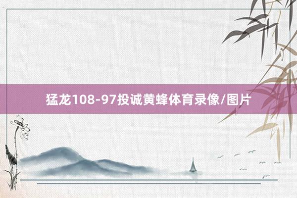 猛龙108-97投诚黄蜂体育录像/图片