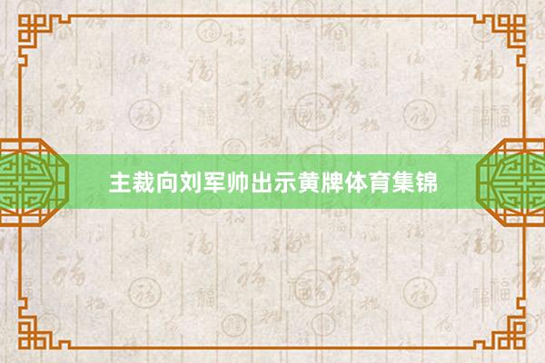 主裁向刘军帅出示黄牌体育集锦
