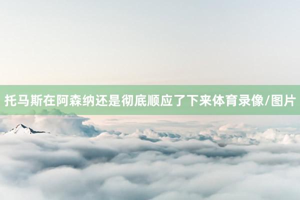 托马斯在阿森纳还是彻底顺应了下来体育录像/图片