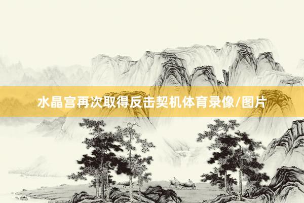 水晶宫再次取得反击契机体育录像/图片