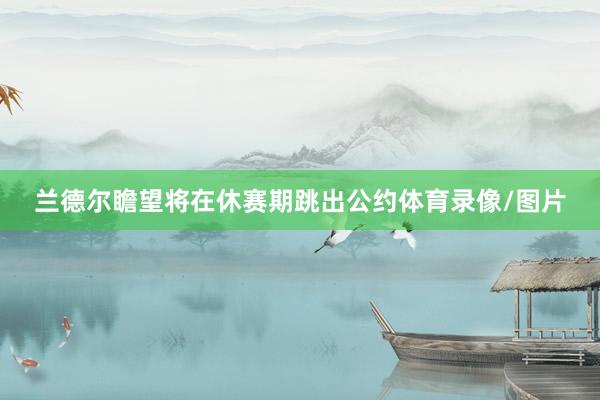 兰德尔瞻望将在休赛期跳出公约体育录像/图片
