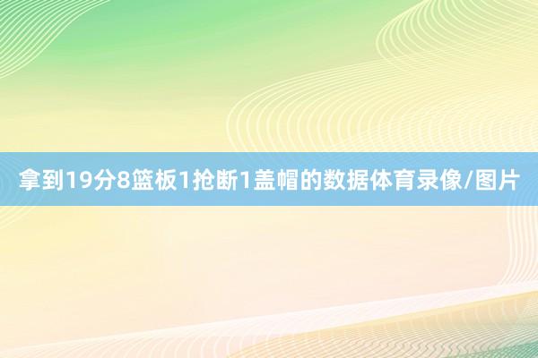 拿到19分8篮板1抢断1盖帽的数据体育录像/图片