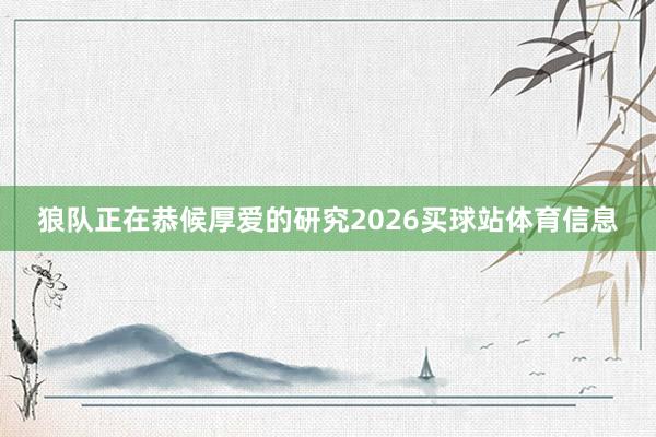 狼队正在恭候厚爱的研究2026买球站体育信息