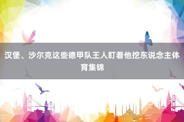汉堡、沙尔克这些德甲队王人盯着他挖东说念主体育集锦