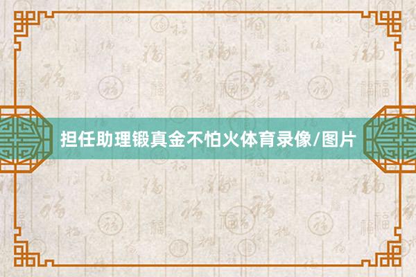 担任助理锻真金不怕火体育录像/图片