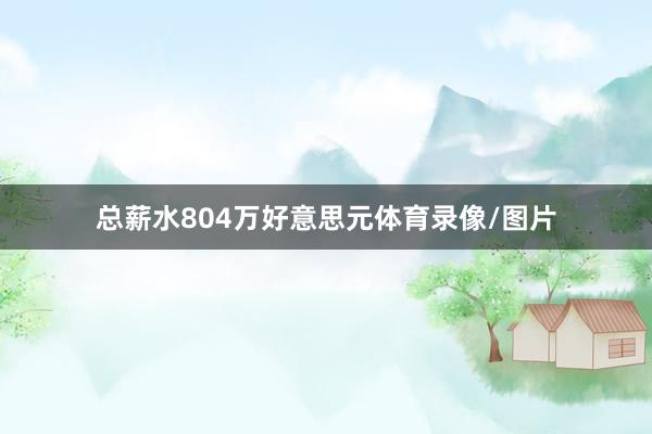 总薪水804万好意思元体育录像/图片