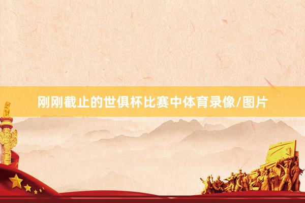 刚刚截止的世俱杯比赛中体育录像/图片