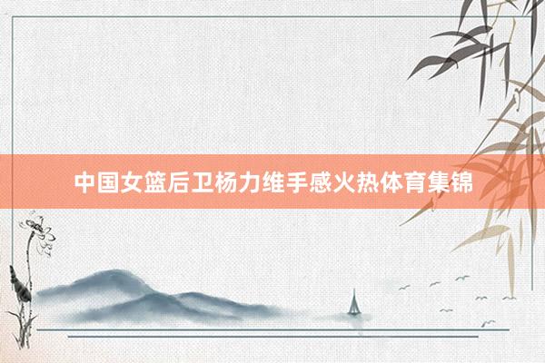 中国女篮后卫杨力维手感火热体育集锦