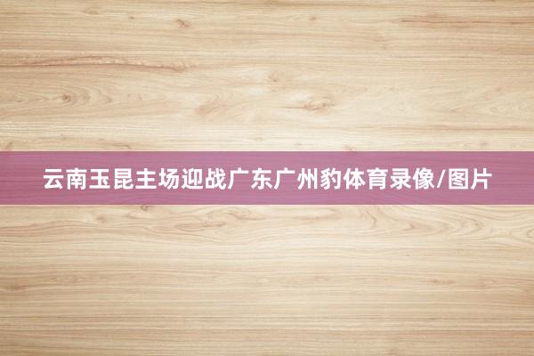 云南玉昆主场迎战广东广州豹体育录像/图片