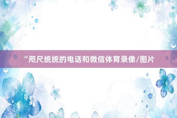“咫尺统统的电话和微信体育录像/图片