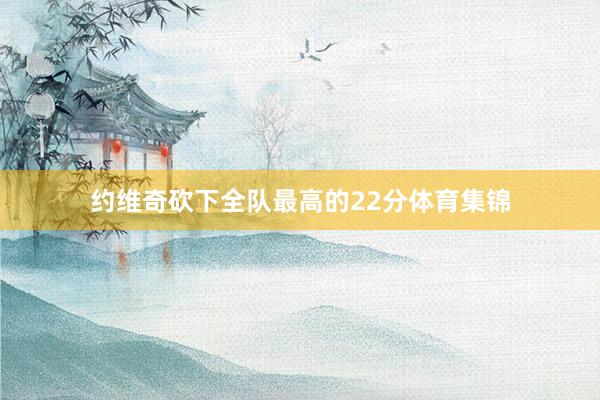 约维奇砍下全队最高的22分体育集锦