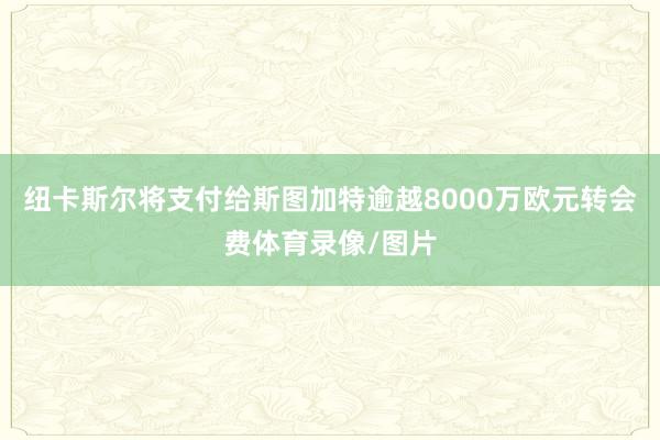 纽卡斯尔将支付给斯图加特逾越8000万欧元转会费体育录像/图片