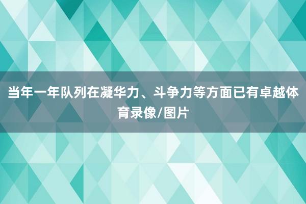 当年一年队列在凝华力、斗争力等方面已有卓越体育录像/图片
