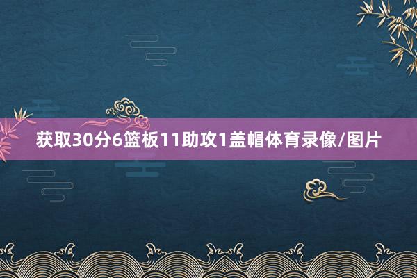 获取30分6篮板11助攻1盖帽体育录像/图片