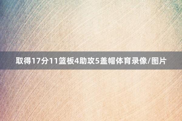 取得17分11篮板4助攻5盖帽体育录像/图片