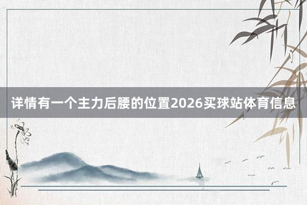 详情有一个主力后腰的位置2026买球站体育信息