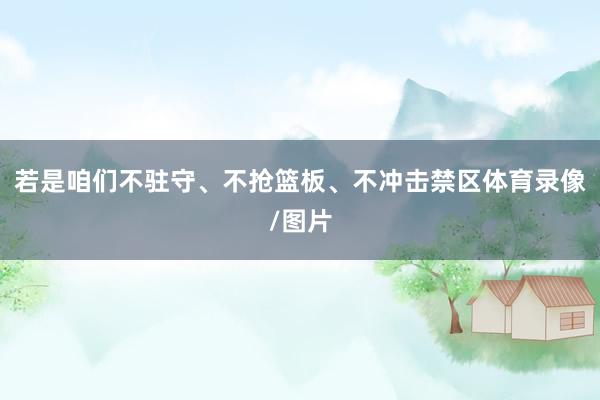 若是咱们不驻守、不抢篮板、不冲击禁区体育录像/图片