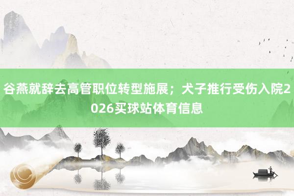 谷燕就辞去高管职位转型施展；犬子推行受伤入院2026买球站体育信息