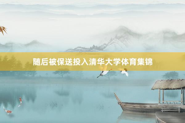随后被保送投入清华大学体育集锦