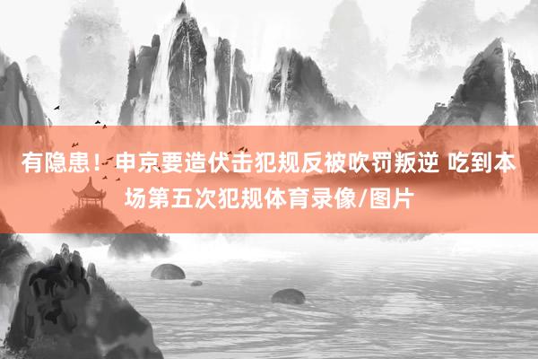 有隐患！申京要造伏击犯规反被吹罚叛逆 吃到本场第五次犯规体育录像/图片