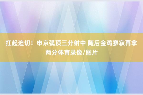 扛起迫切！申京弧顶三分射中 随后金鸡寥寂再拿两分体育录像/图片