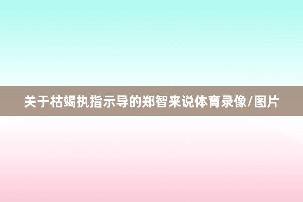 关于枯竭执指示导的郑智来说体育录像/图片