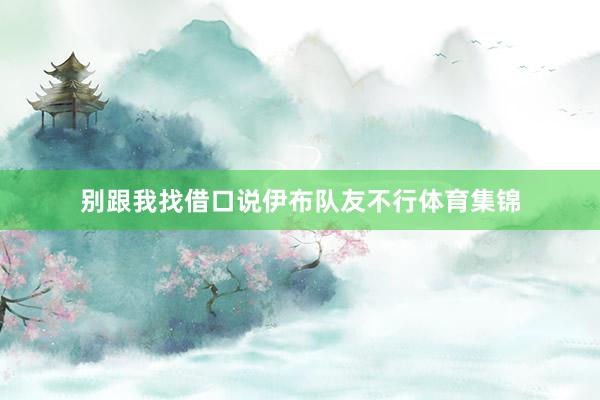 别跟我找借口说伊布队友不行体育集锦
