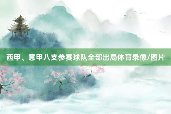西甲、意甲八支参赛球队全部出局体育录像/图片