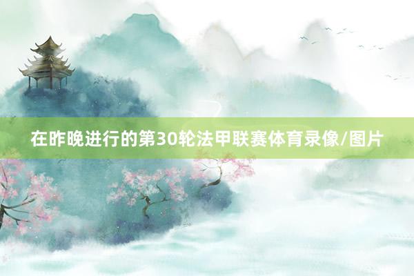 在昨晚进行的第30轮法甲联赛体育录像/图片