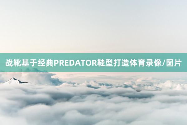 战靴基于经典PREDATOR鞋型打造体育录像/图片