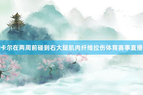 卡尔在两周前碰到右大腿肌肉纤维拉伤体育赛事直播