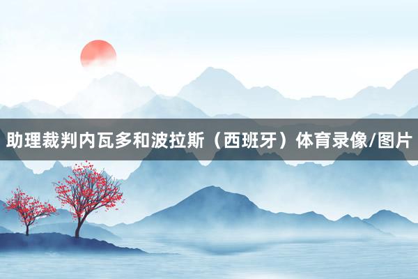 助理裁判内瓦多和波拉斯（西班牙）体育录像/图片