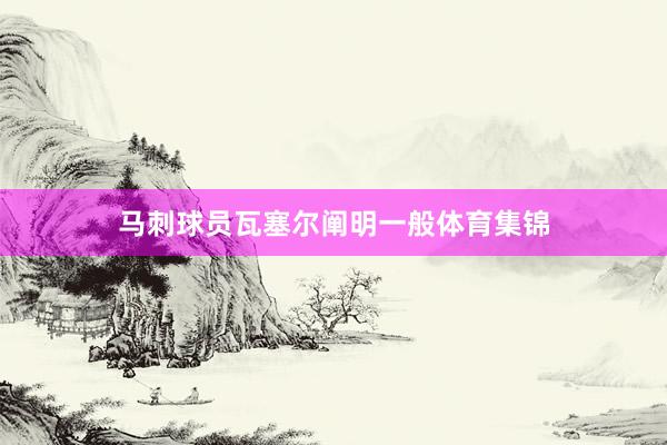 马刺球员瓦塞尔阐明一般体育集锦